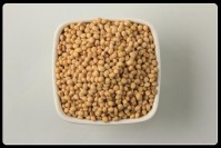 Organic Soybeans